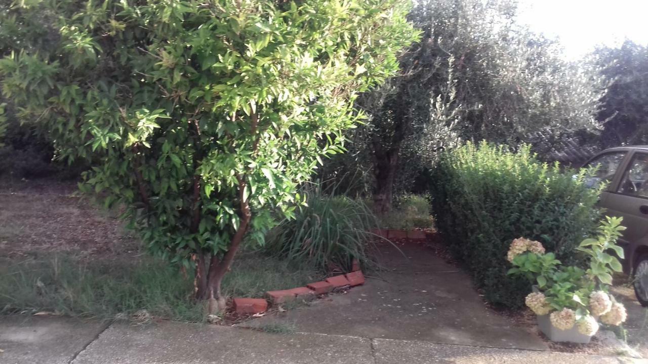 卢卡公寓 Ražanac 外观 照片